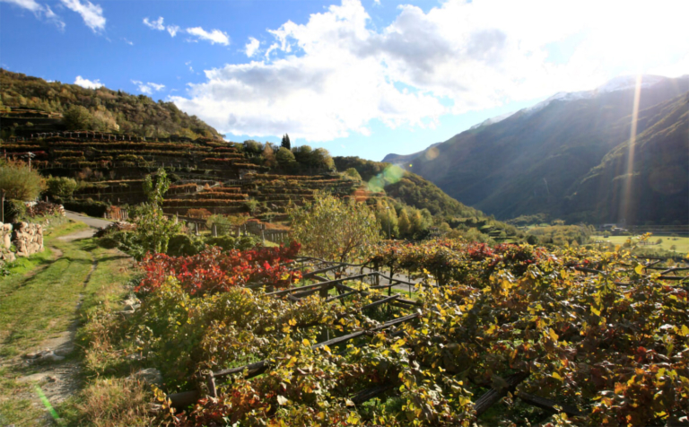 Investimenti in infrastrutture per l’agricoltura e per lo sviluppo socio-economico delle aree rurali – Anno 2026 – SRD07 Azione 5 – Infrastrutture ricreative pubbliche
